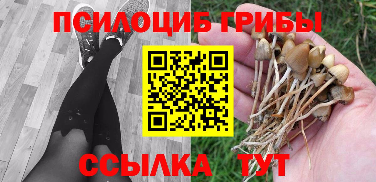 Нальчик  Галлюциногенные грибы мицелий  дарнет шоп  Вход с VPN 